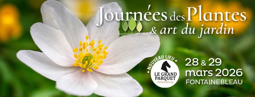 Agrandir l'image, .JPG 61Ko (fen&ecirc;tre modale)