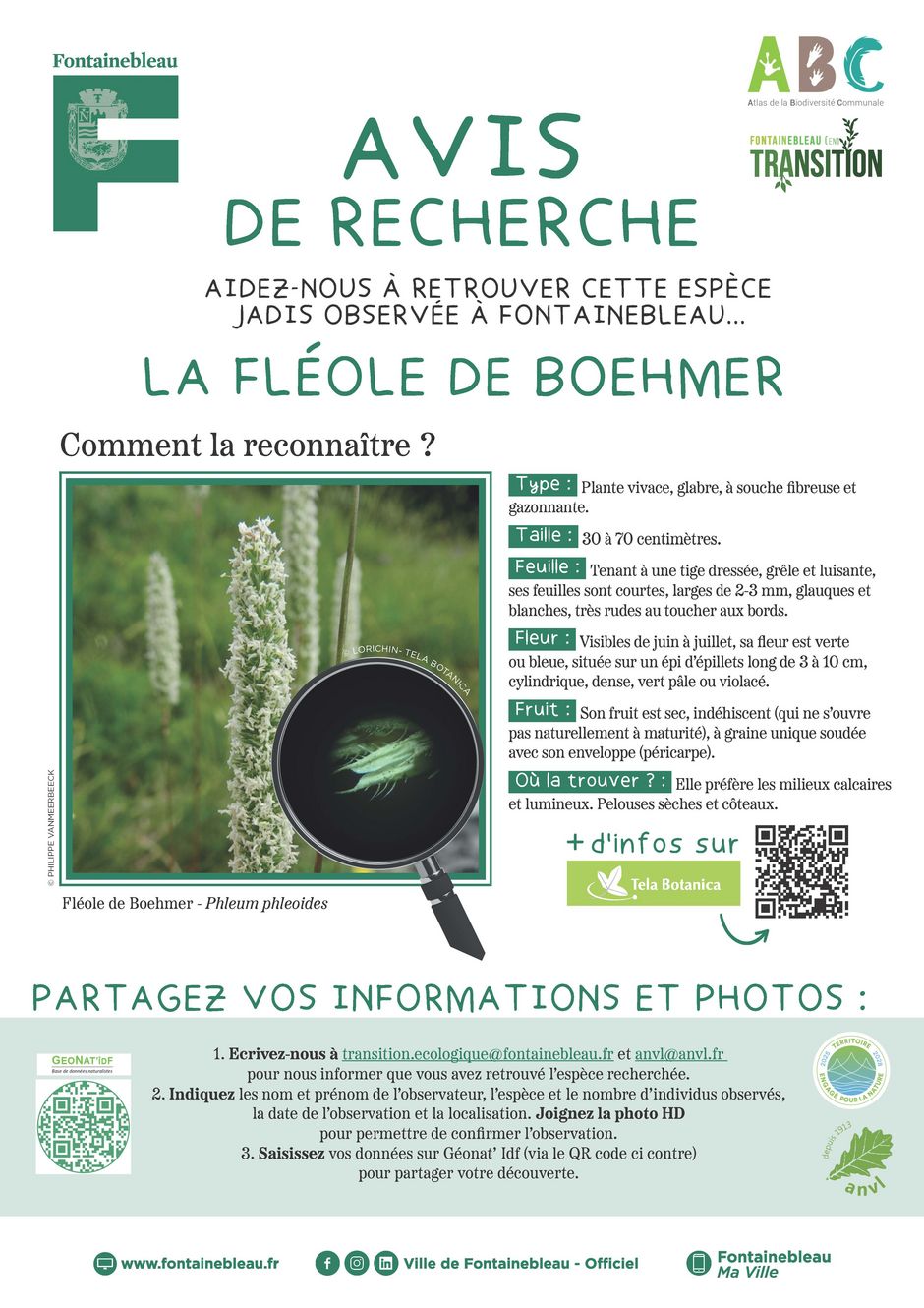 Agrandir l'image, . 0octets (fen&ecirc;tre modale)