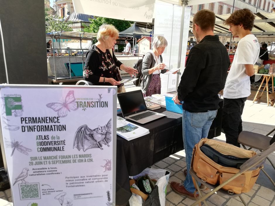 Agrandir l'image, . 0octets (fenêtre modale)