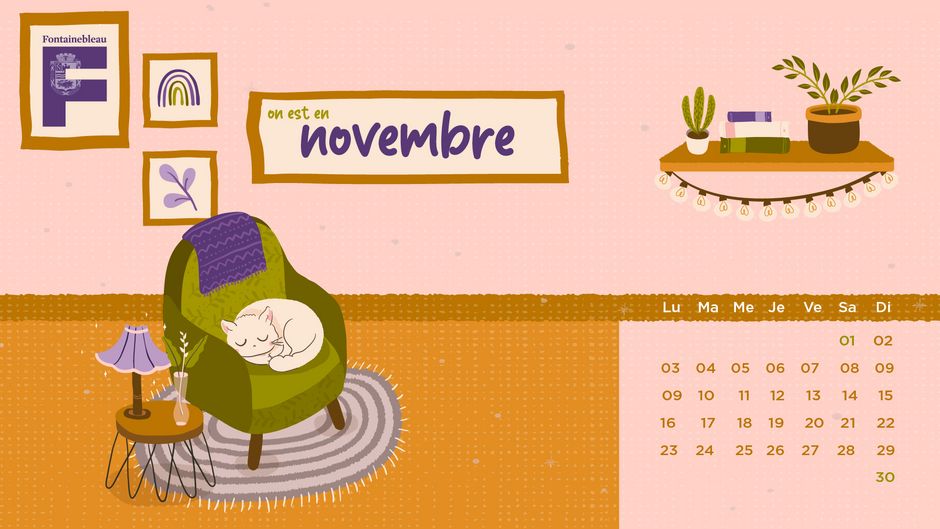 Agrandir l'image, . 0octets (fenêtre modale)