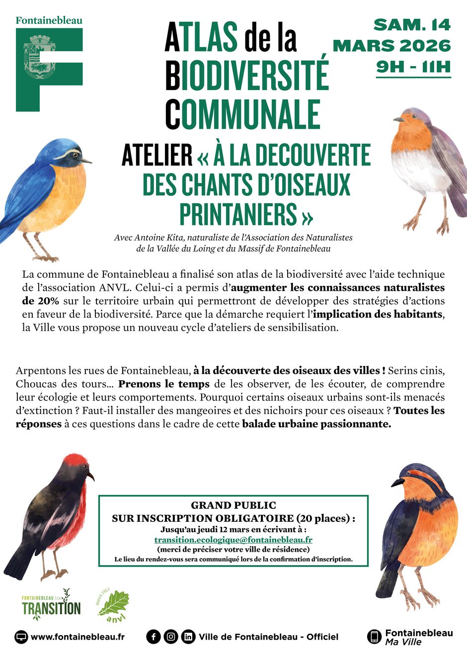 Agrandir l'image, .JPG 3,66Mo (fenêtre modale)