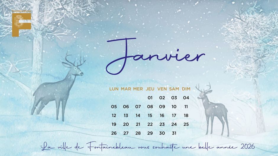 Agrandir l'image, . 0octets (fen&ecirc;tre modale)