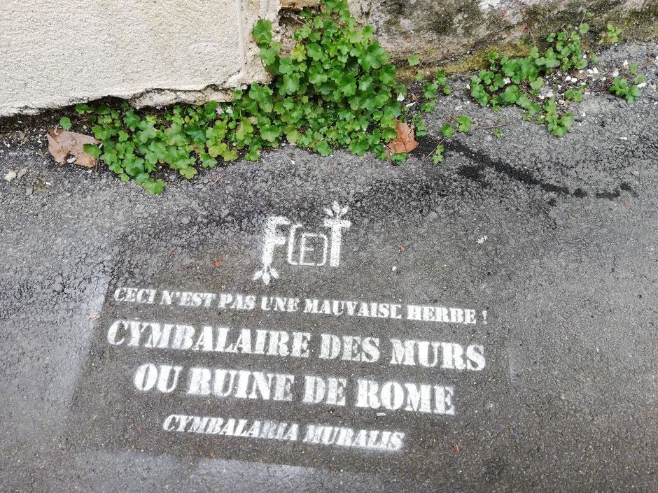 Agrandir l'image, . 0octets (fenêtre modale)