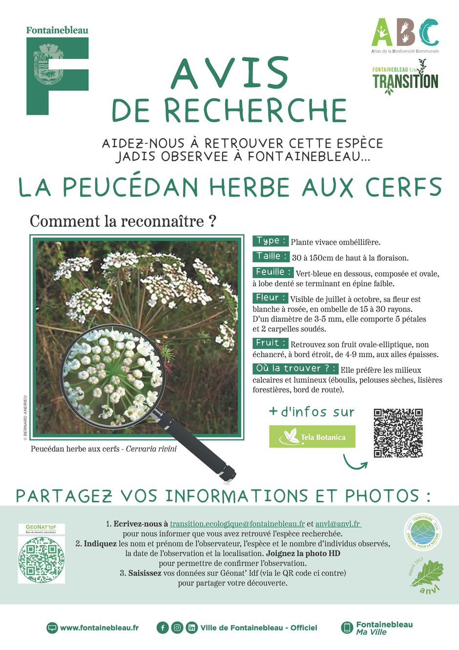 Agrandir l'image, . 0octets (fen&ecirc;tre modale)