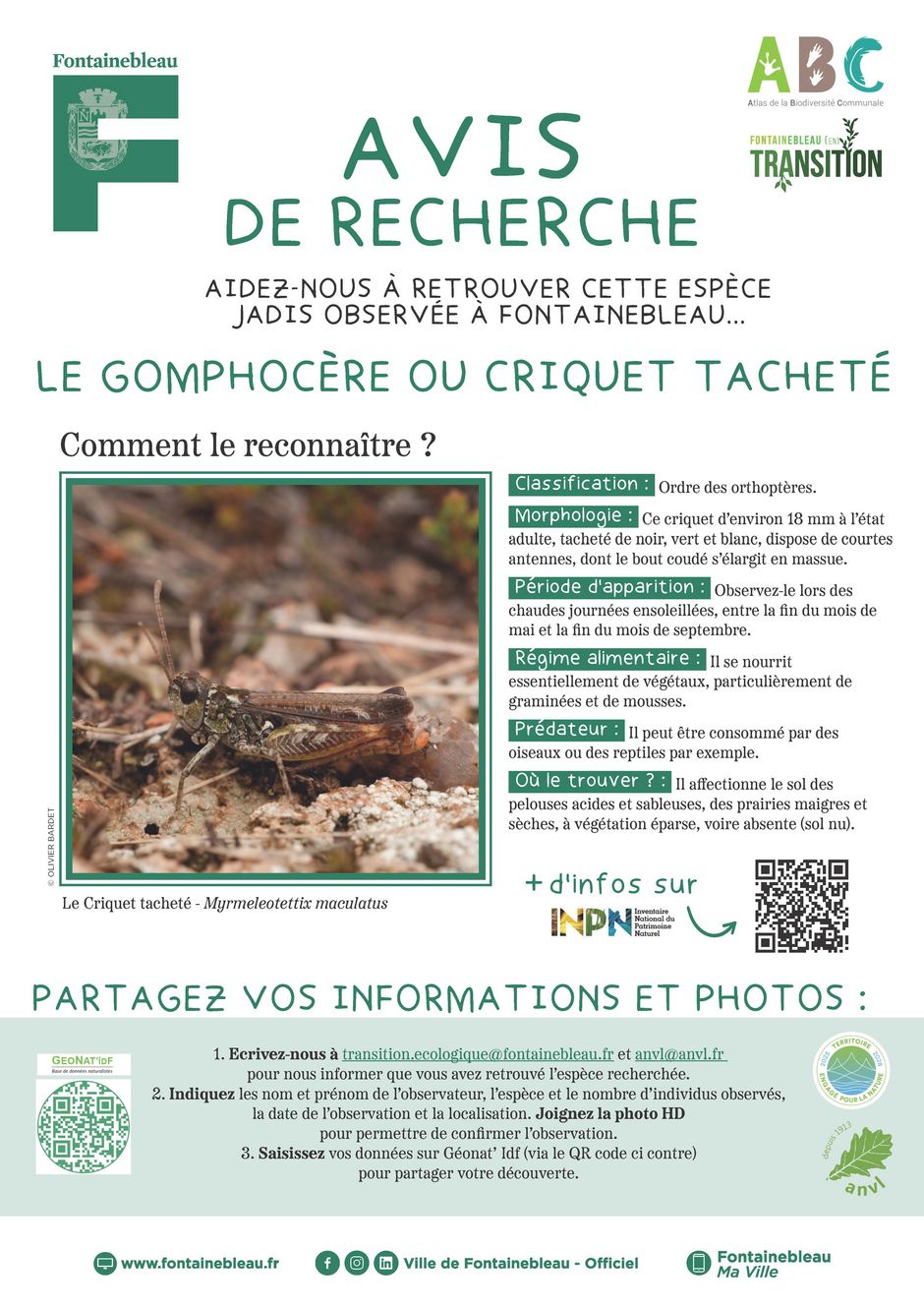 Agrandir l'image, . 0octets (fen&ecirc;tre modale)