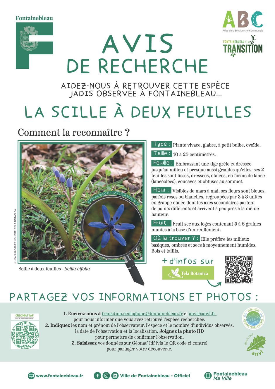 Agrandir l'image, . 0octets (fen&ecirc;tre modale)