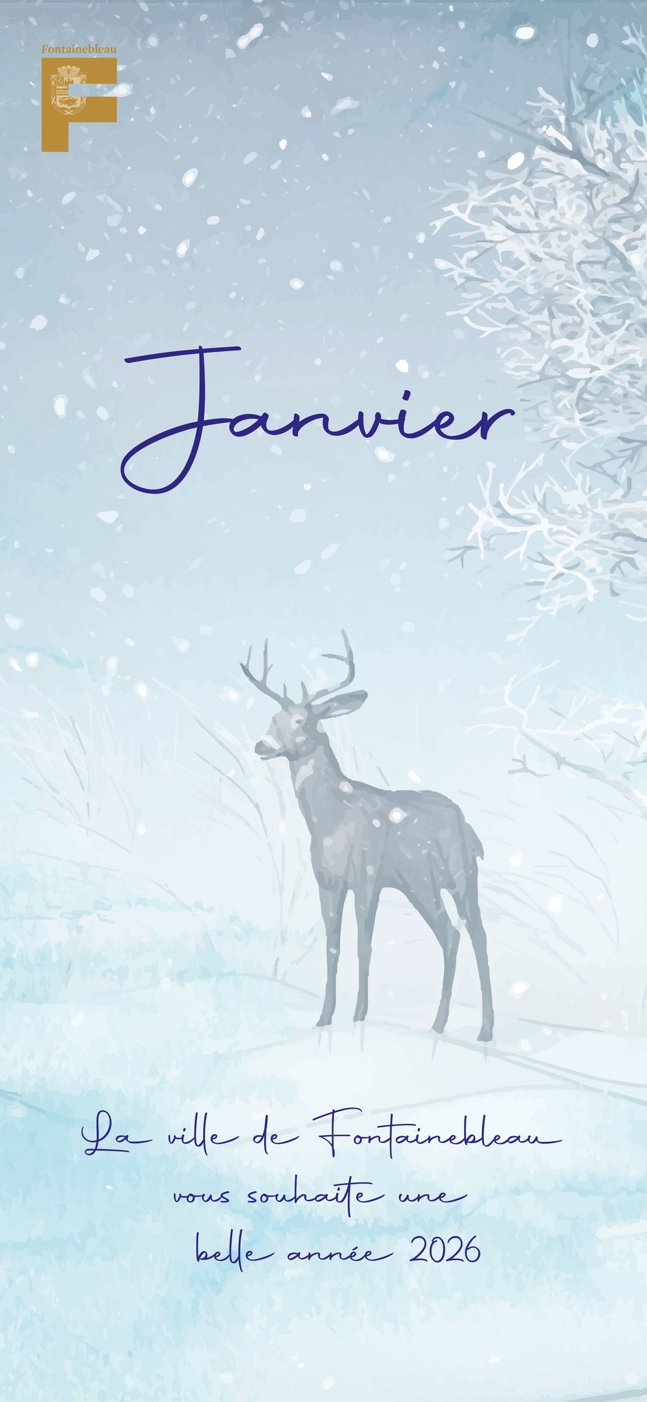 Agrandir l'image, . 0octets (fen&ecirc;tre modale)