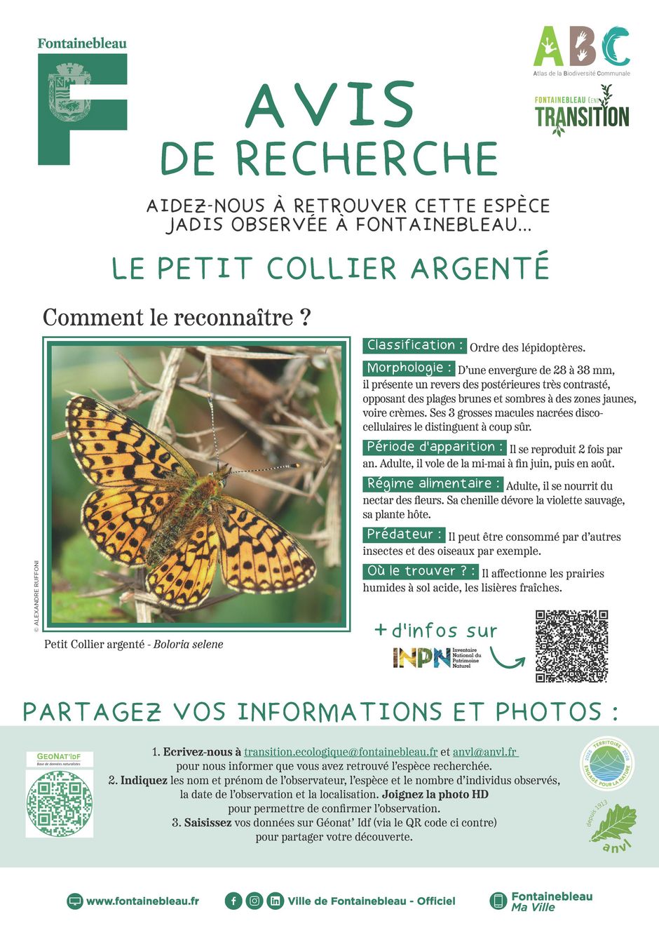 Agrandir l'image, . 0octets (fen&ecirc;tre modale)