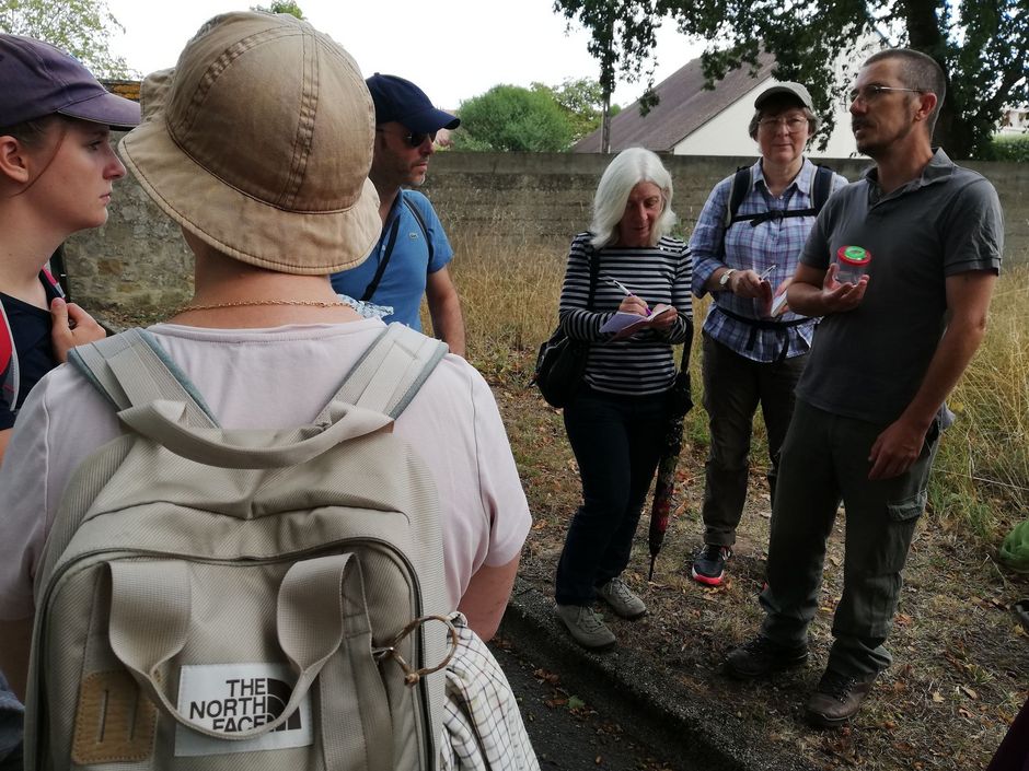 Agrandir l'image, . 0octets (fenêtre modale)