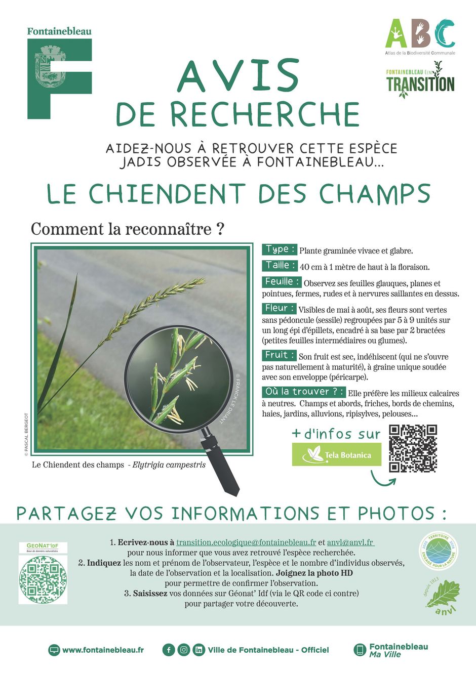 Agrandir l'image, . 0octets (fen&ecirc;tre modale)